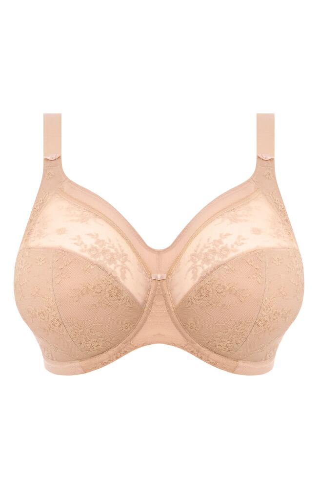 Goddess Verity Underwire Full Figure Bra in Fawn Cover