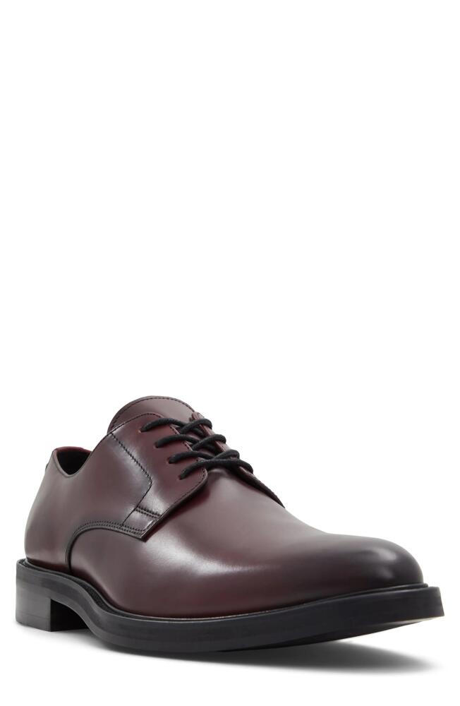 ALDO Libertine Derby in Bordo Cover