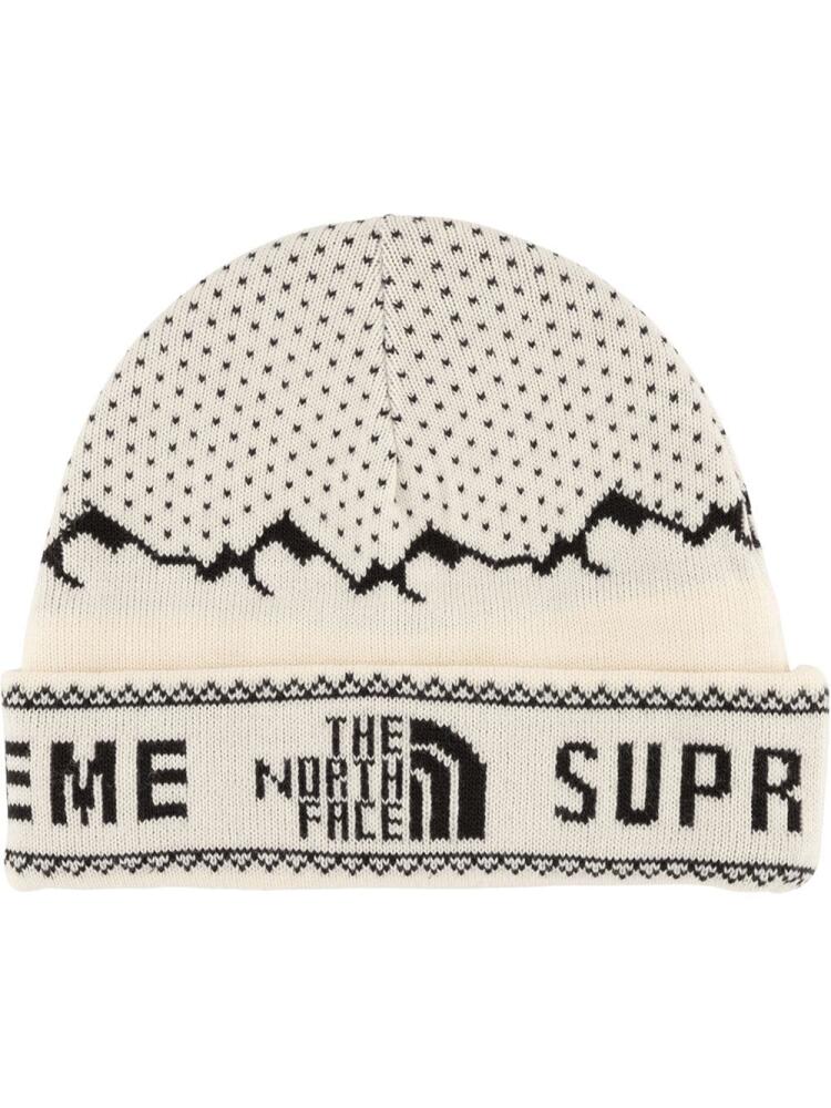 Supreme TNF Fold Beanie - White Cover