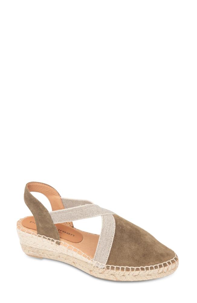 patricia green Grace Espadrille Wedge in Olive Cover