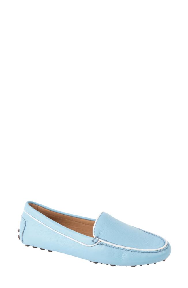 patricia green Jill Piped Driving Shoe in Sky Blue Cover