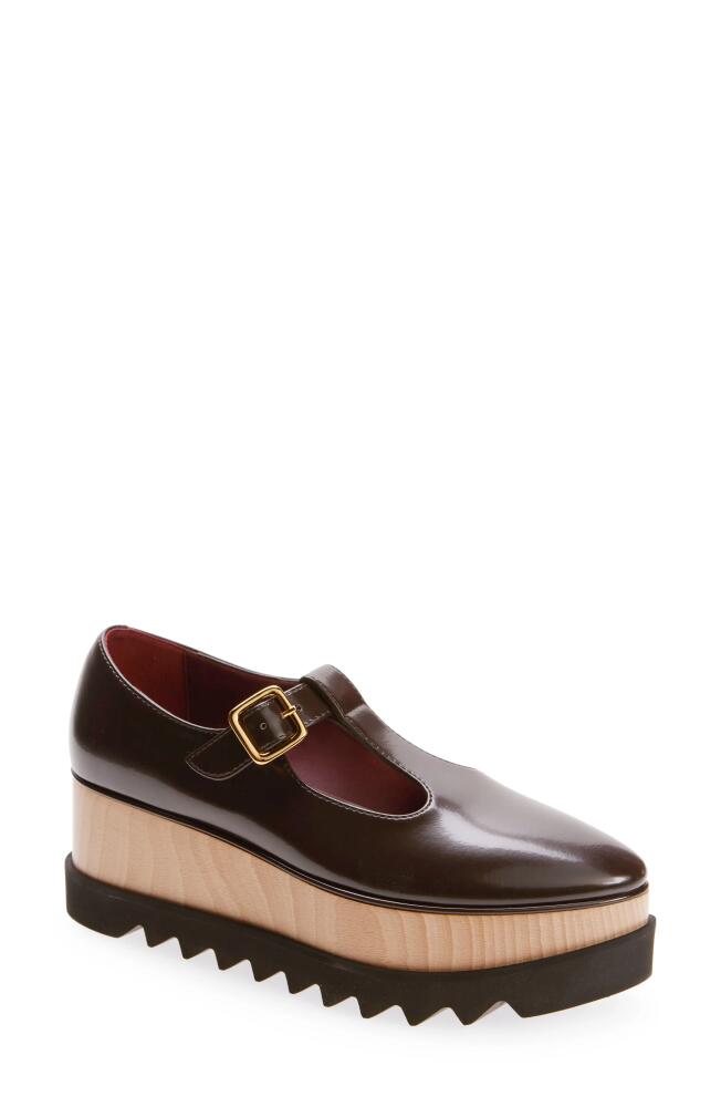 Stella McCartney Elyse Platform Mary Jane Loafer in Coffee Cover