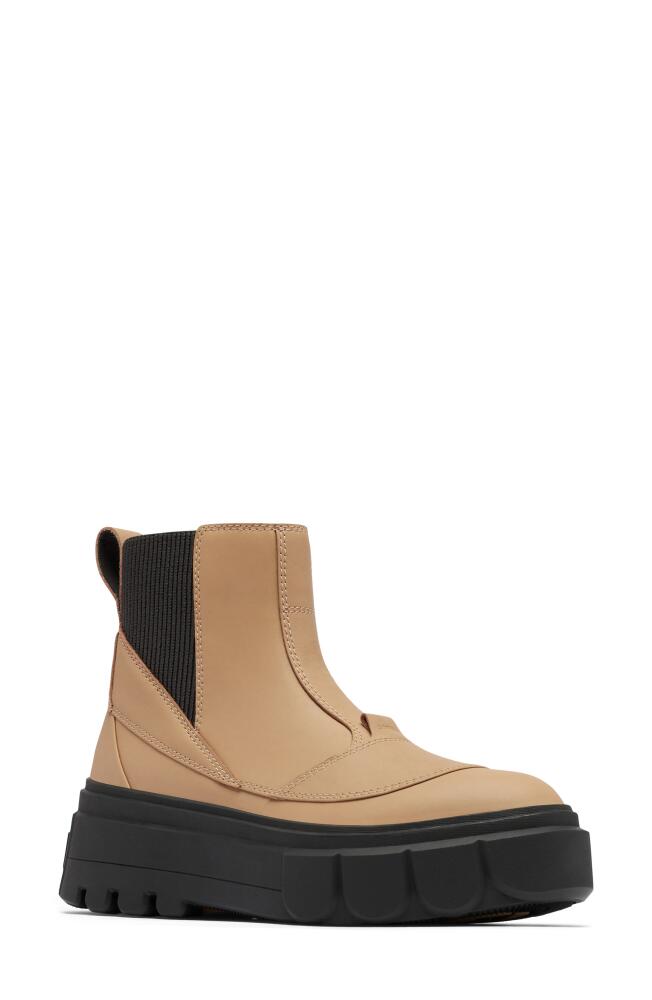 SOREL Waterproof Platform Chelsea Boot in Canoe/Jet Cover