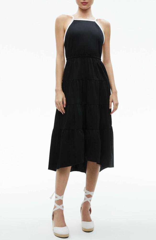 Alice + Olivia Hartley Tie Back Tiered Stretch Cotton Midi Dress in Black/Off White Cover