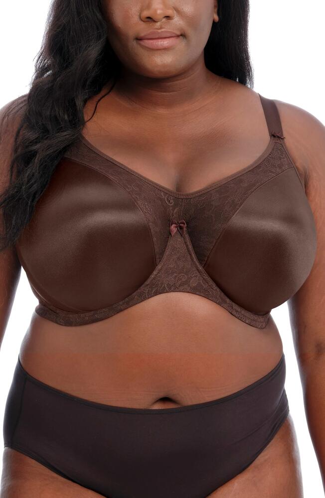 Goddess Yvette Full Figure Molded Underwire Bra in Chocolate Cover