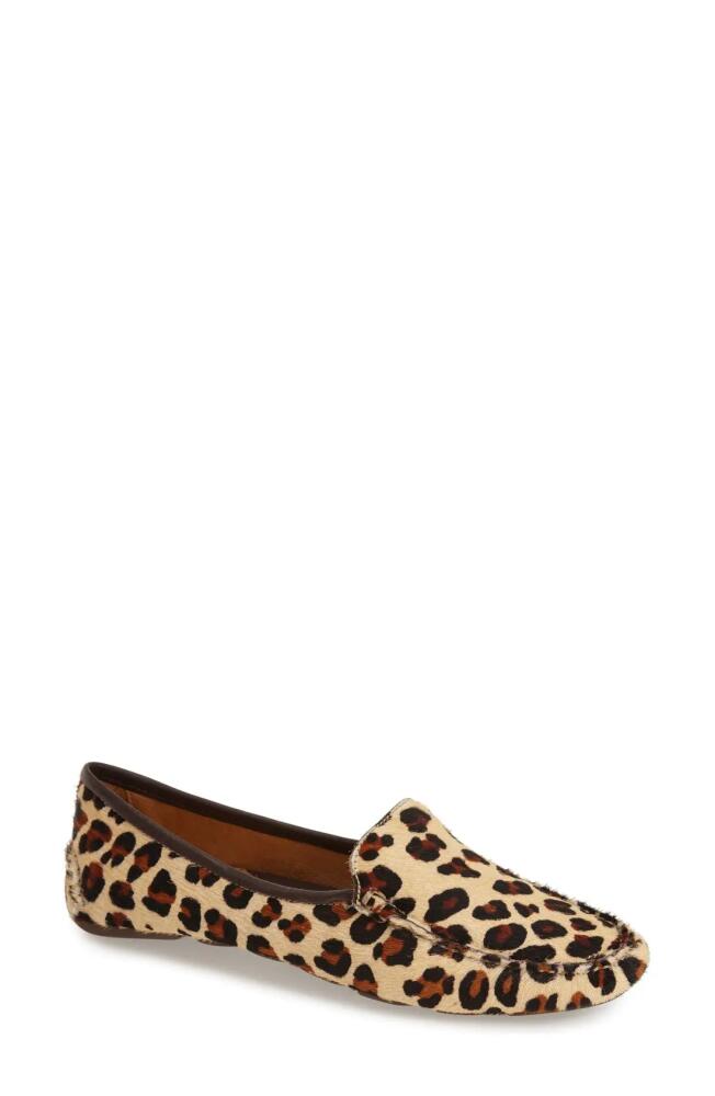 patricia green 'Jillian' Loafer in Leopard Calf Hair Cover