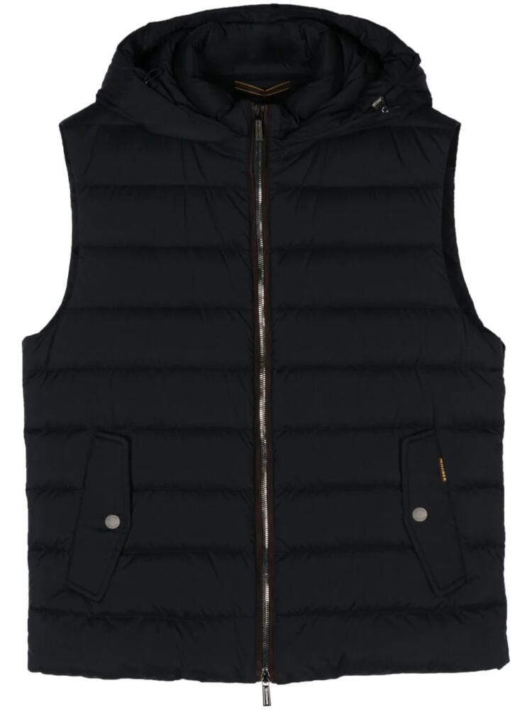 Moorer Kitami-S3 padded gilet - Blue Cover