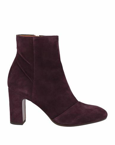 Chie Mihara Woman Ankle boots Dark purple Leather Cover