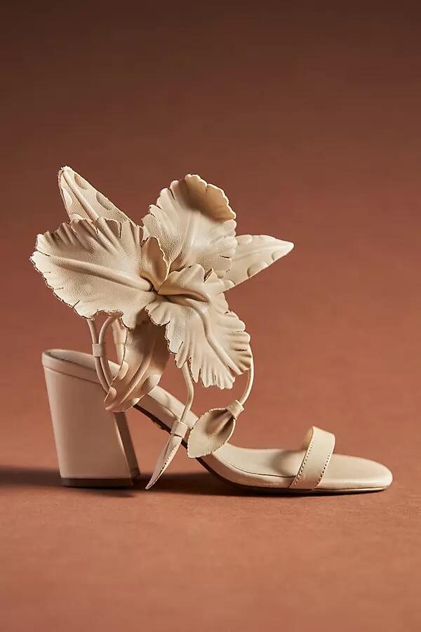 Cecelia New York Hibiscus Heels Cover