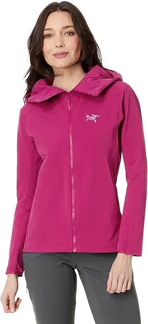 Arc'teryx Gamma Hoody (Amaranthus) Women's Clothing Cover