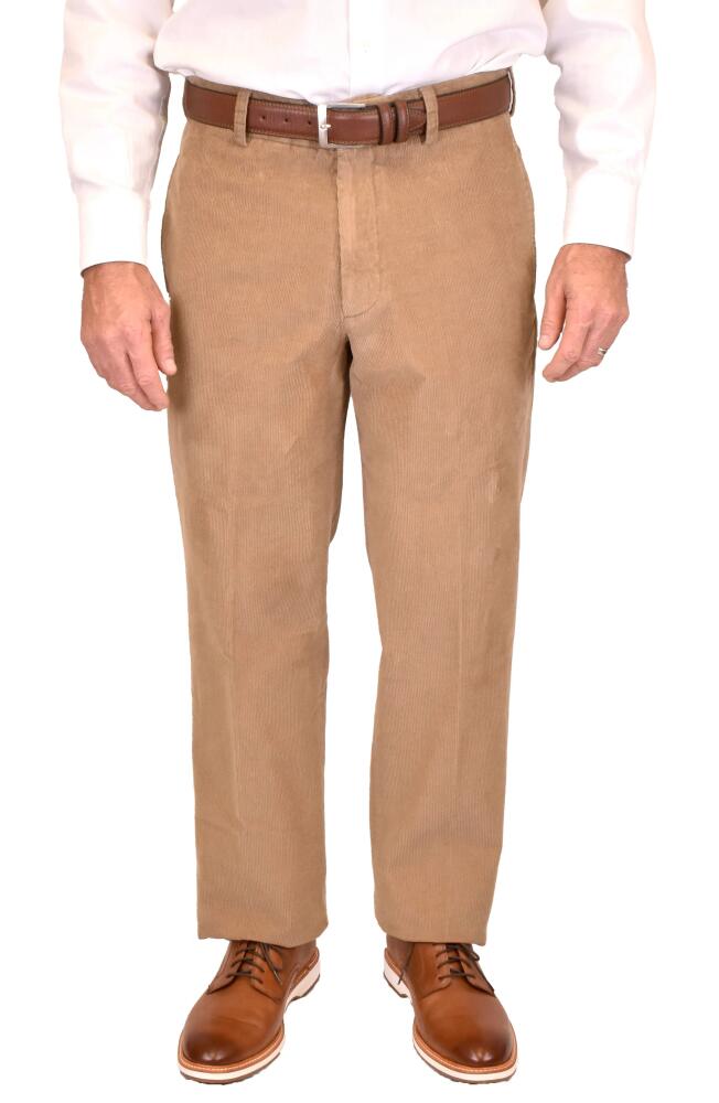 Berle Flat Front Corduroy Dress Pants in Khaki Cover