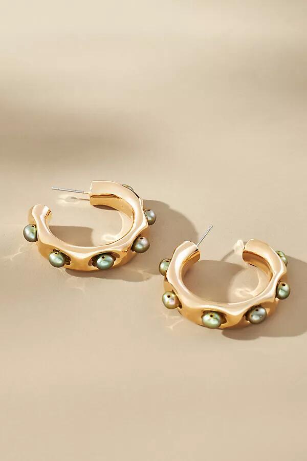 By Anthropologie Encased Stone Hoop Earrings Cover