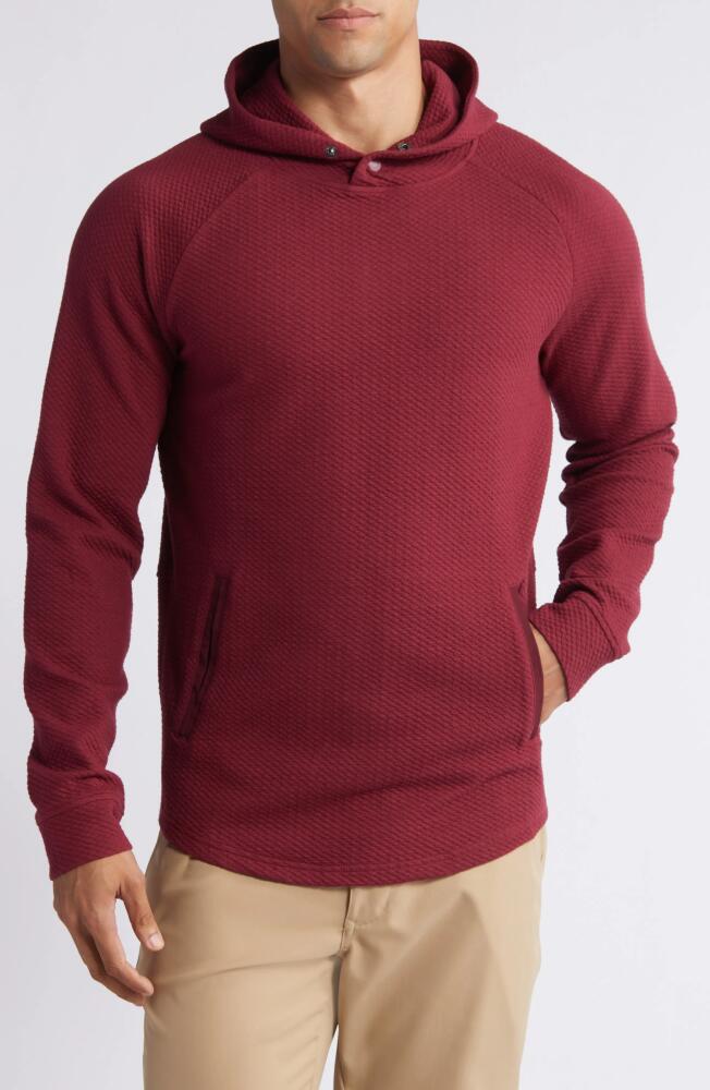 Swannies Camden Hoodie in Maroon Cover