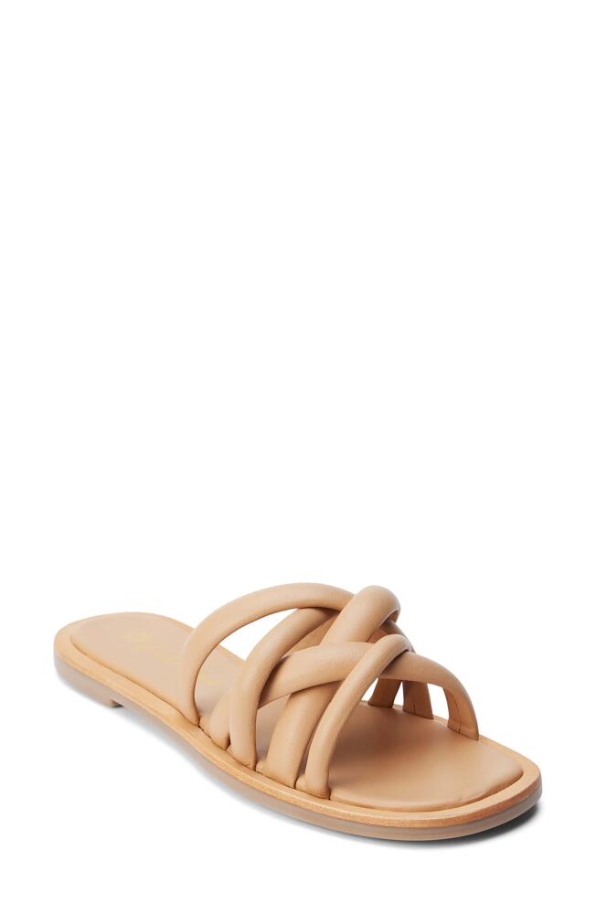 Matisse Strappy Flat Slide Sandal in Beige Cover