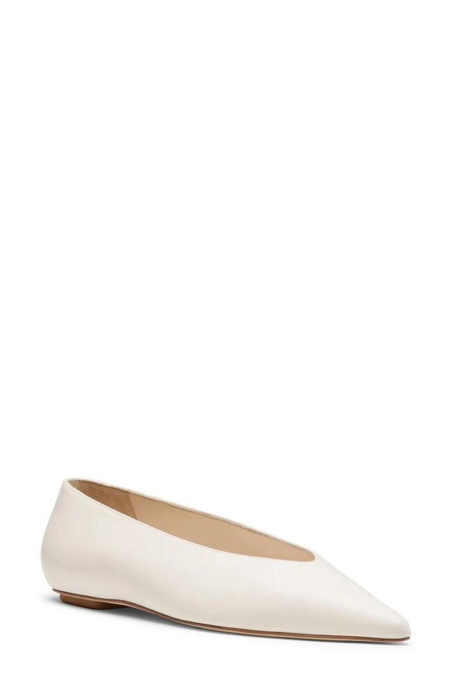 Stuart Weitzman Lina Flat in Seashell Cover