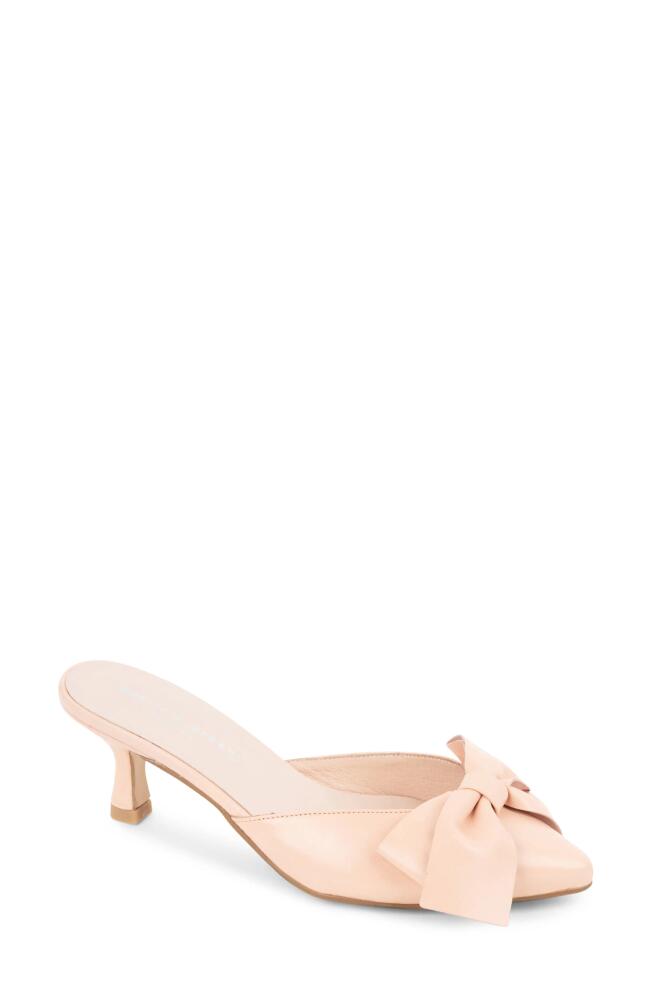 patricia green Malibu Kitten Heel Mule in Blush Cover