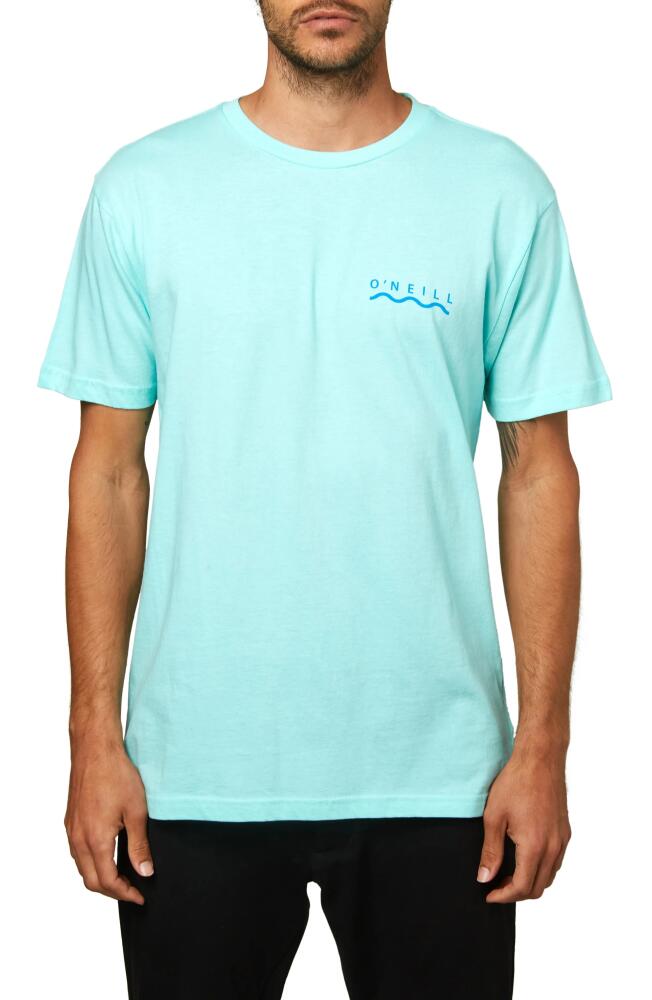 O'Neill Spotless Logo Graphic Tee in Mint Cover