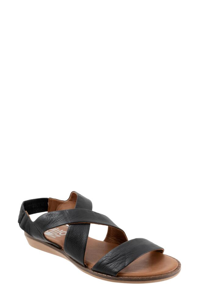 Bueno Dawn Sandal in Black Cover