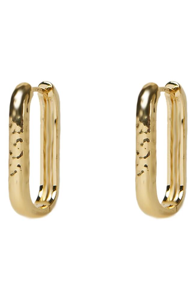 Argento Vivo Sterling Silver Oblong Hoop Earrings in Gold Cover