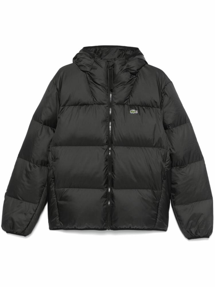 Lacoste hooded padded jacket - Black Cover