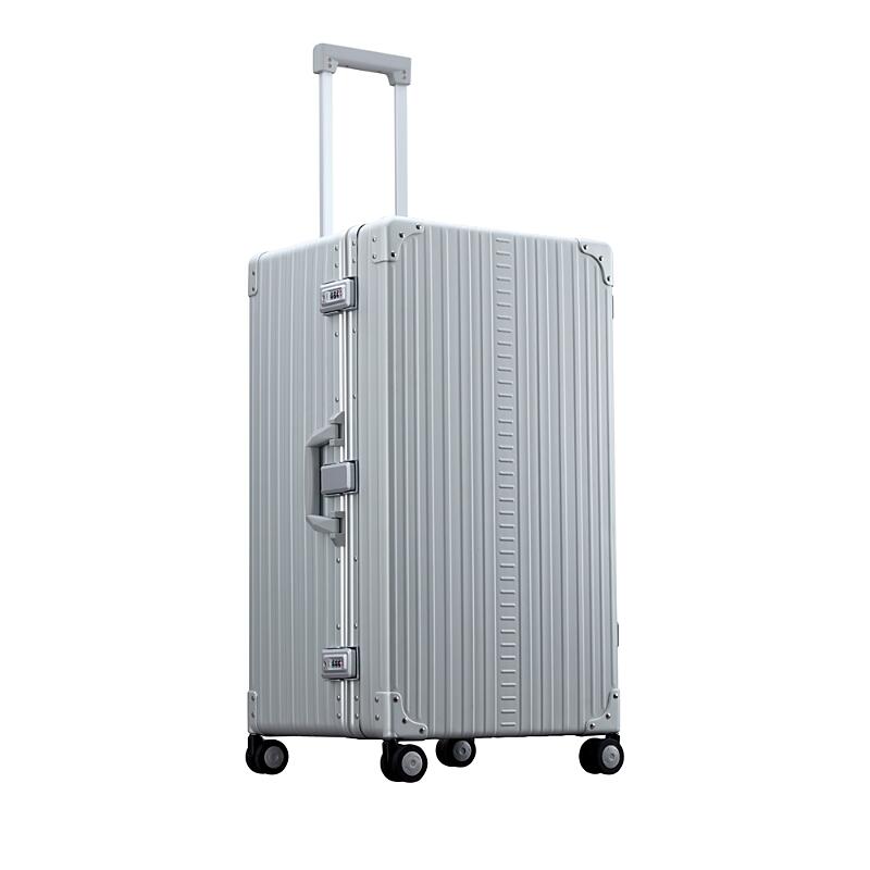 Aleon Aluminum International Trunk Spinner Suitcase Cover