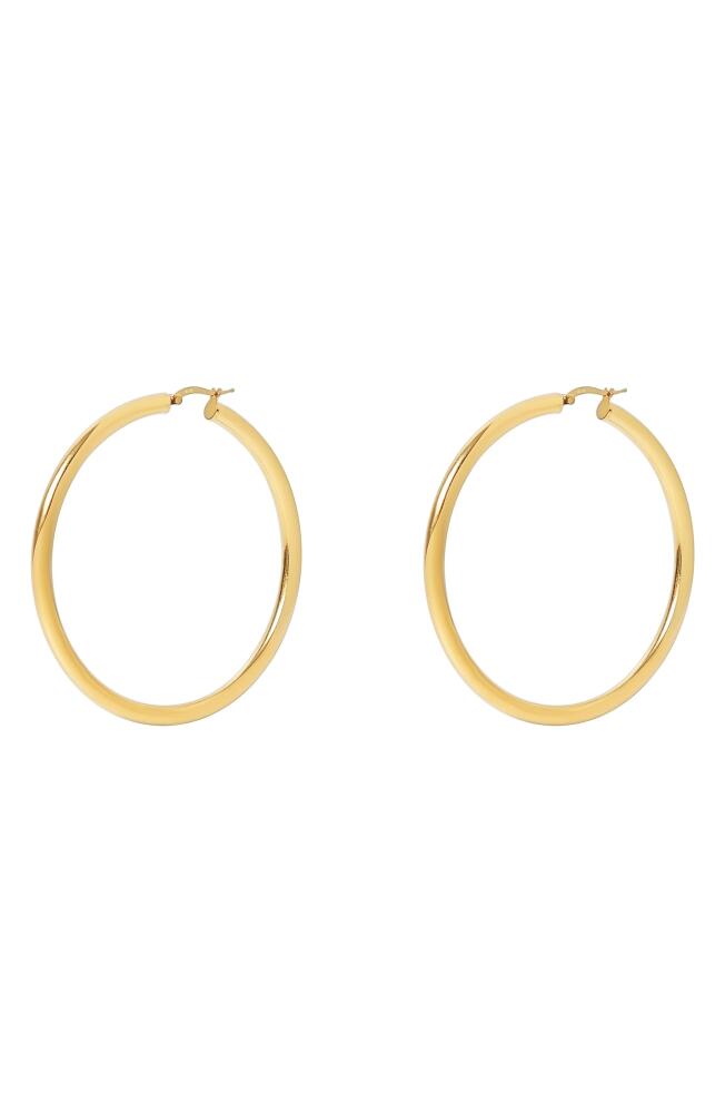 Argento Vivo Sterling Silver Large Tubular Hoop Earrings in Gold Cover