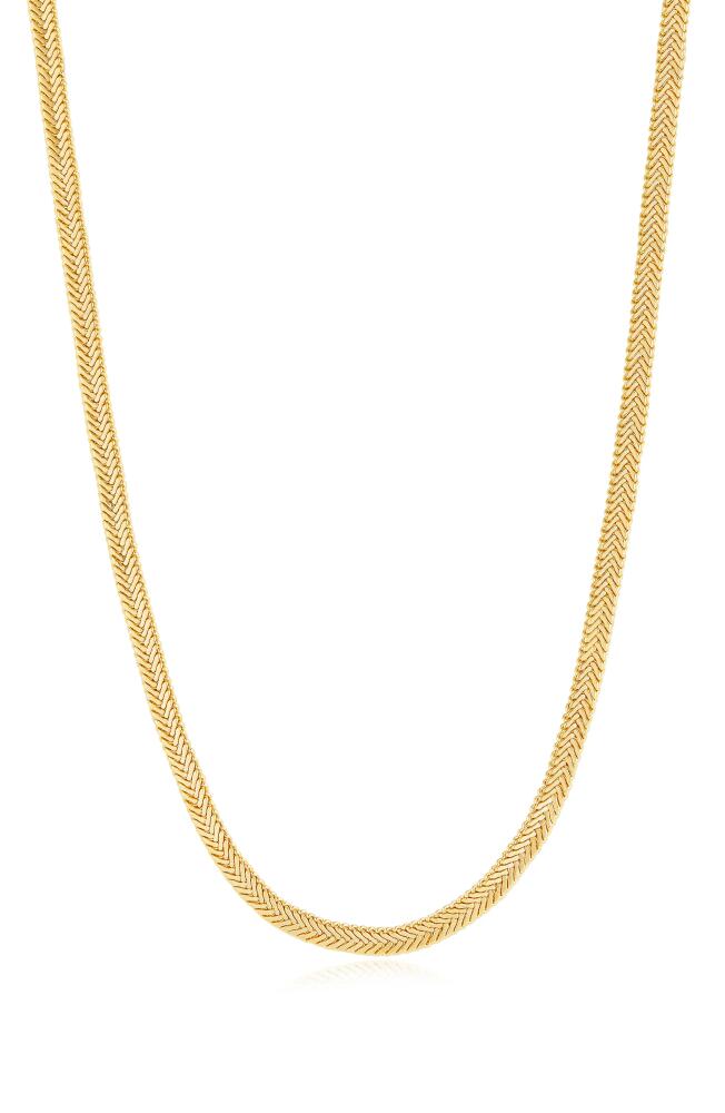 Luv AJ The Arezou Snake Chain Collar Necklace in Gold Cover