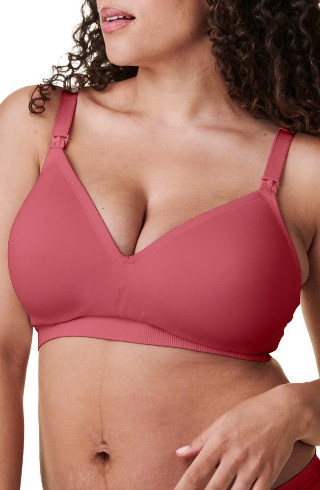 Bravado Designs Plunge Wireless Maternity/Nursing Bra in Lipstick Cover