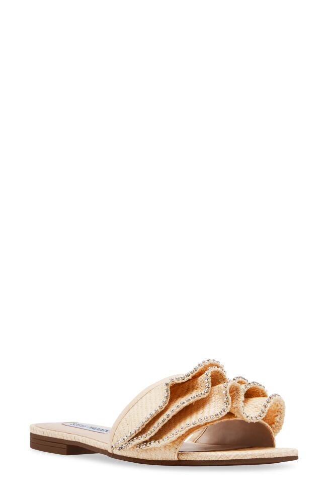 Steve Madden Lilou Slide Sandal in Raffia Cover