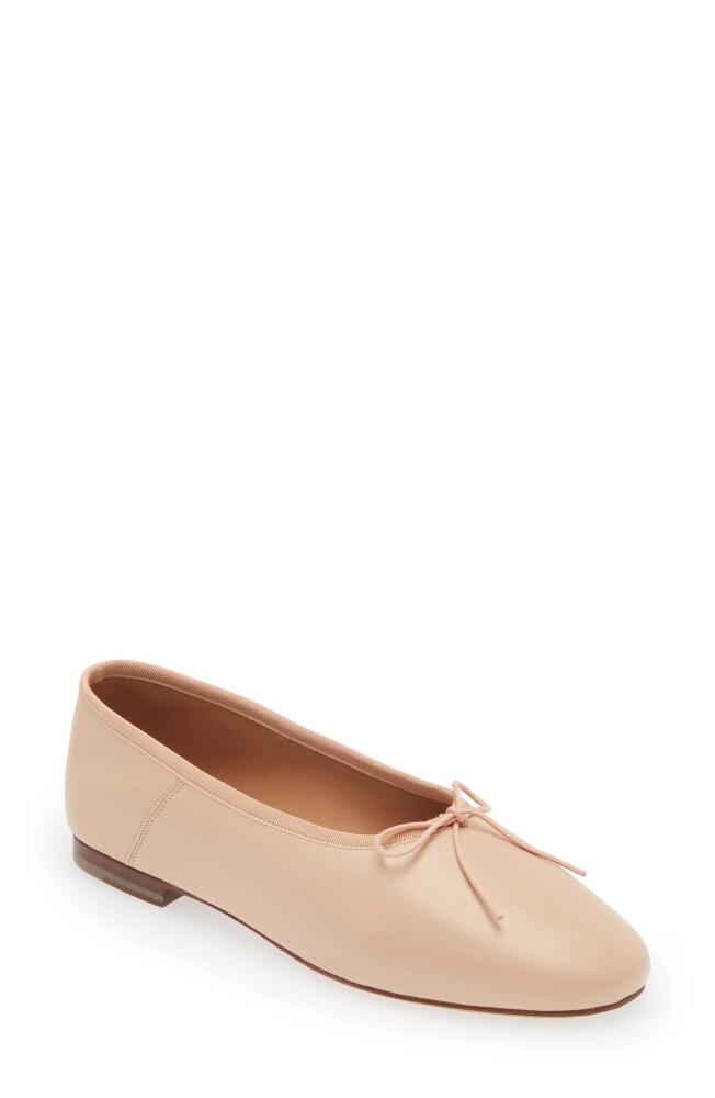 Mansur Gavriel Dream Ballerina Flat in Ballet Cover