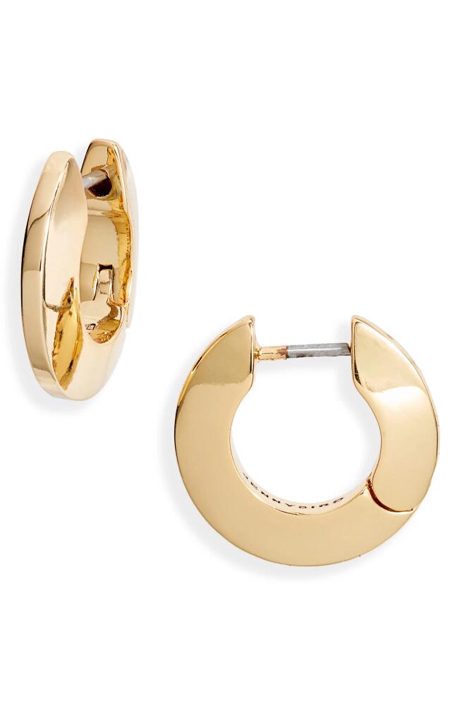 Jenny Bird Small Toni Hoop Earrings in High Polish Gold Cover