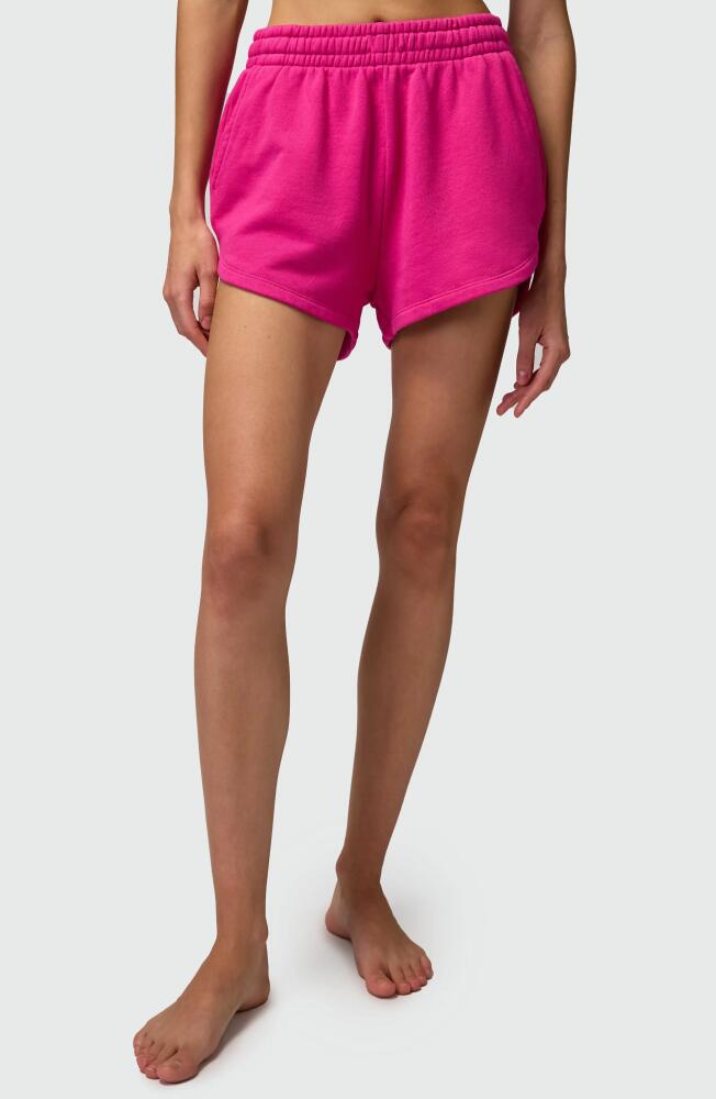 Spiritual Gangster Sadie Cotton Blend Sweat Shorts in Magenta Cover