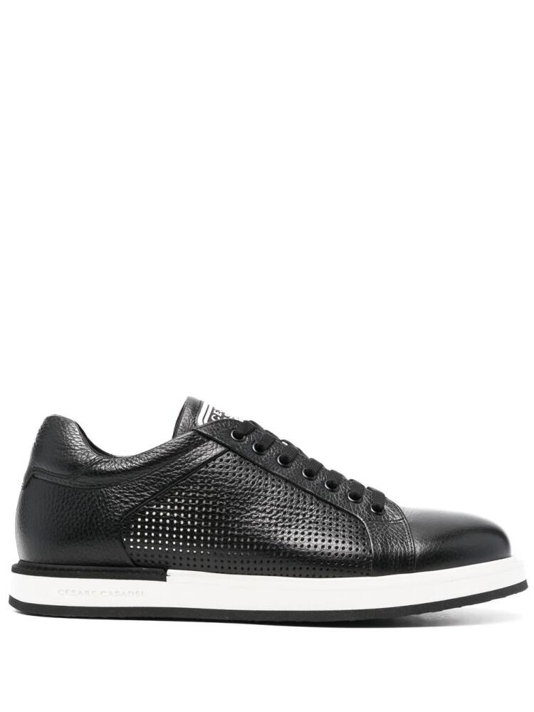 Casadei perforated low-top sneakers - Black Cover