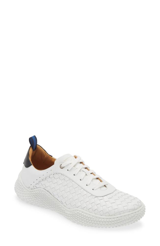 Mezlan Castalla Sneaker in White/Black Cover