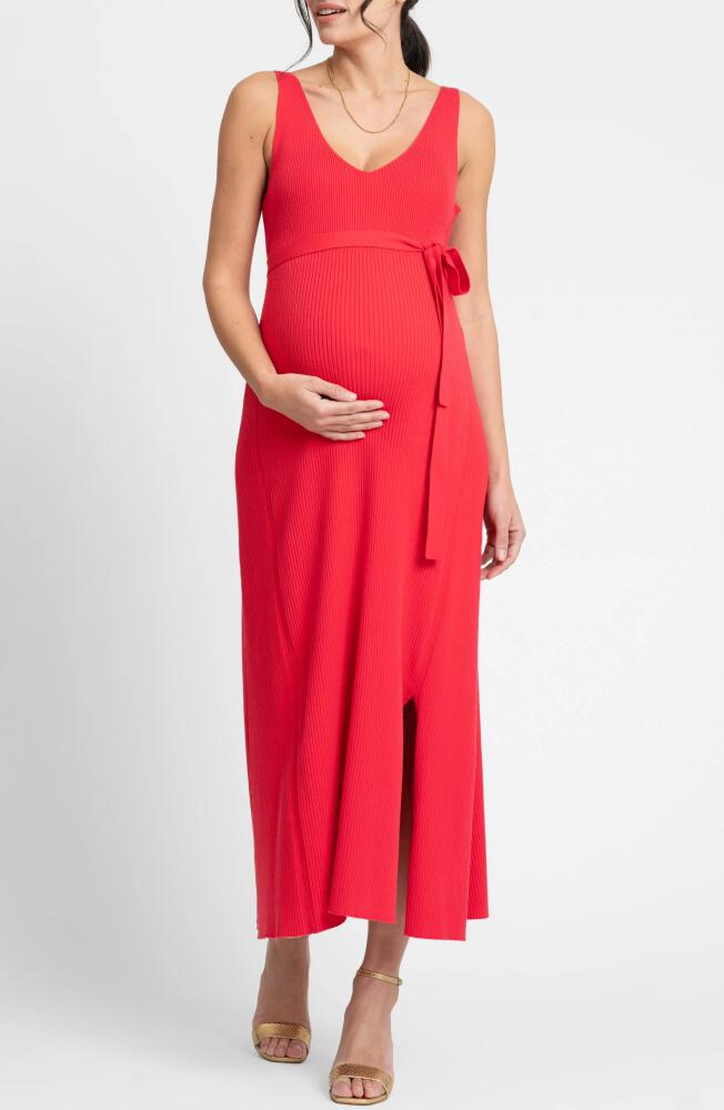 Seraphine Rib Maternity/Nursing Midi Sweater Dress in Raspberry Cover