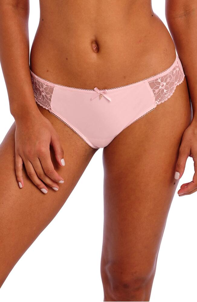 Freya Hallie Bikini Briefs in Pink Champagne Cover