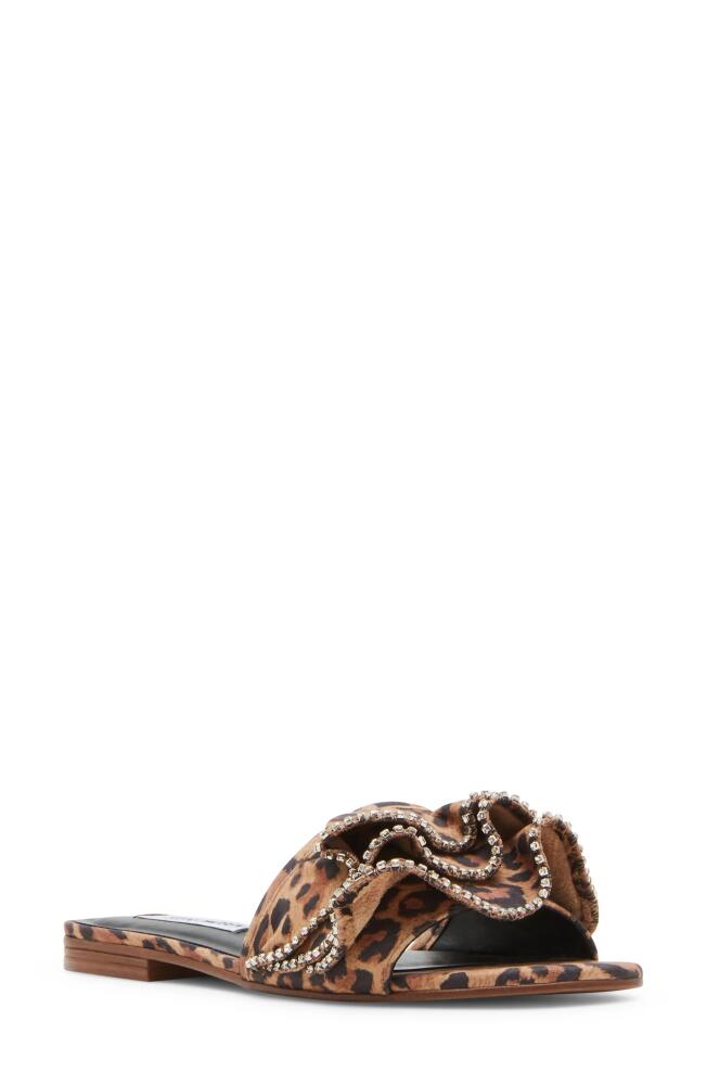 Steve Madden Lilou Slide Sandal in Leopard Cover