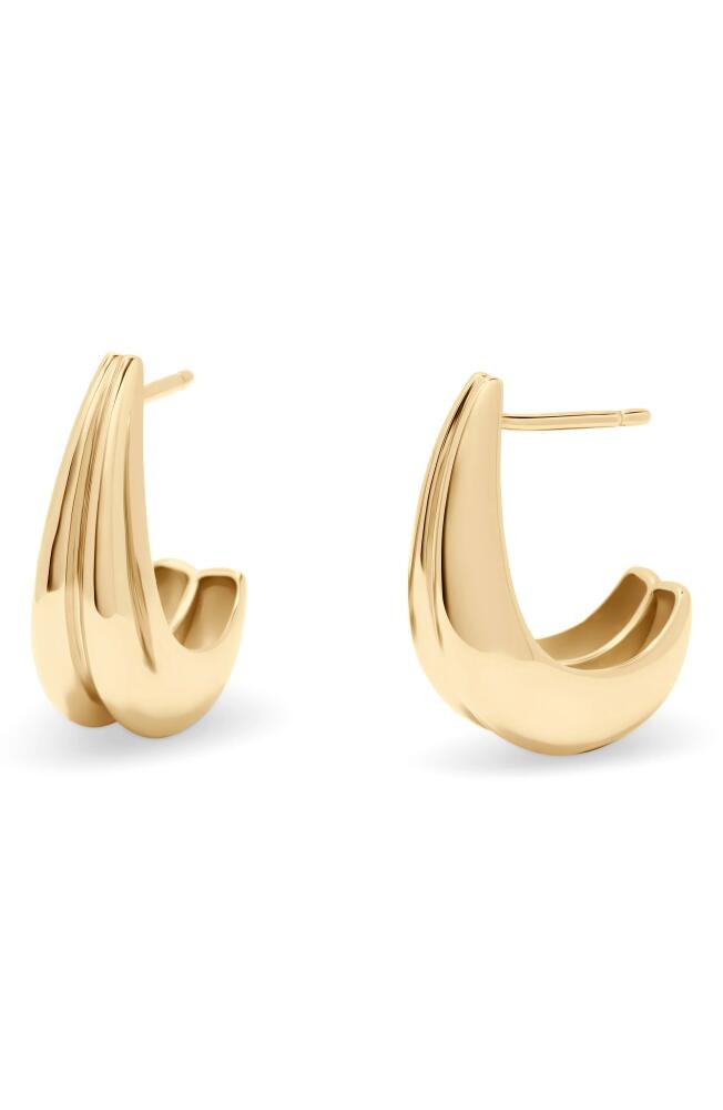 Brook and York Thea Hoop Earrings in Gold Cover