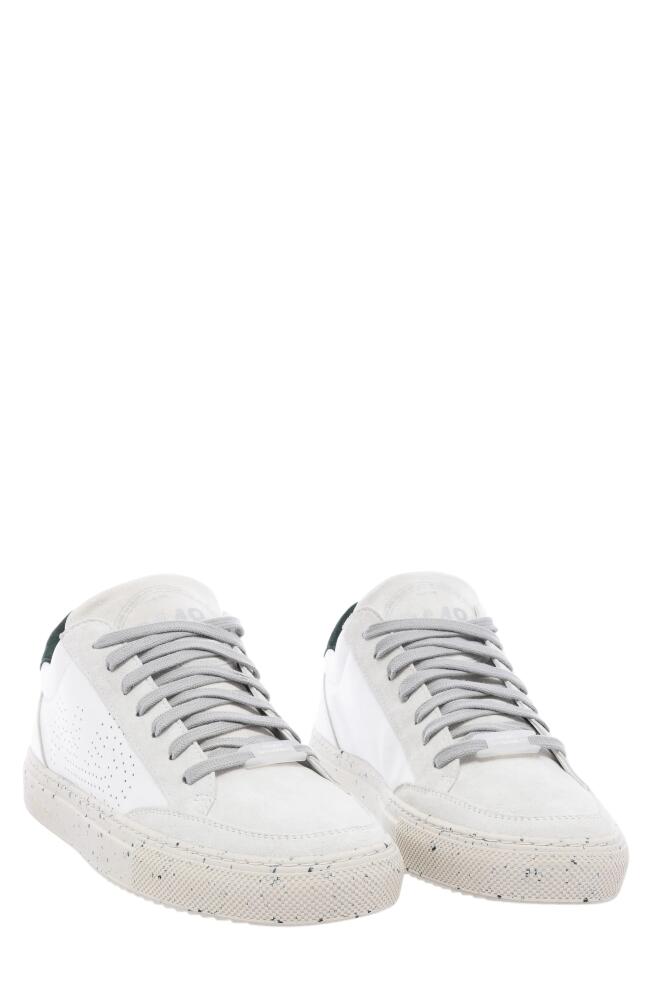 P448 Soho Sneaker in White/Green Cover