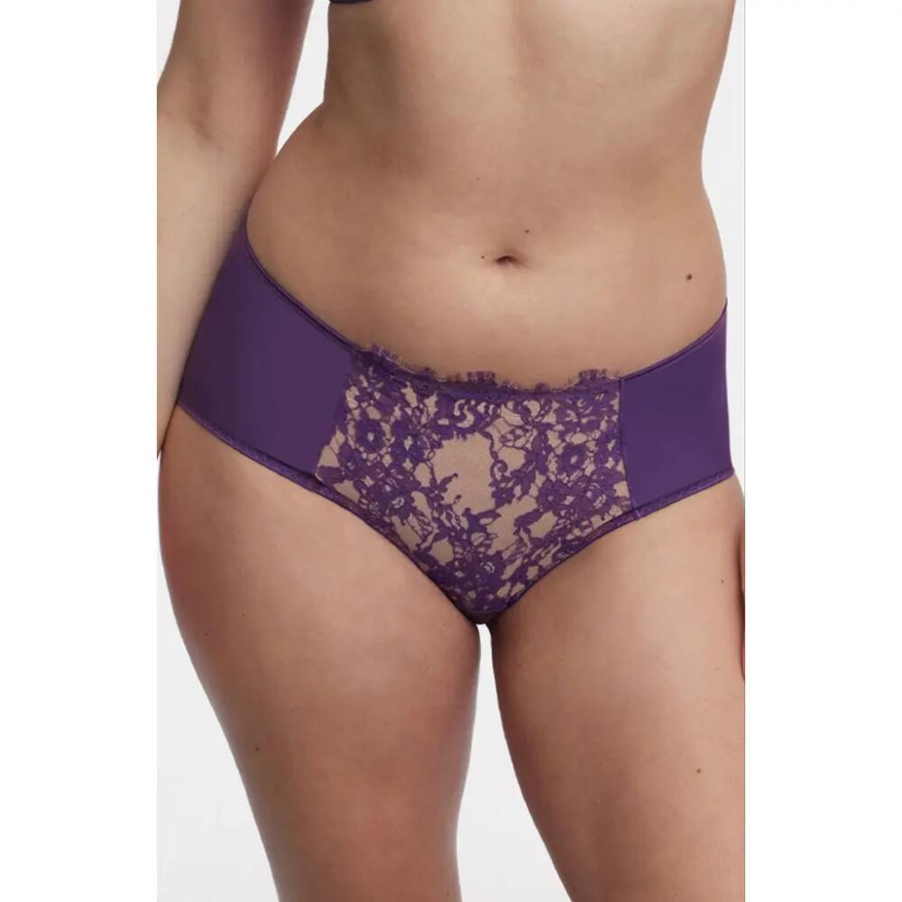 Skarlett Blue Entice Front Lace Brief in Moon Drop/nylon Cover