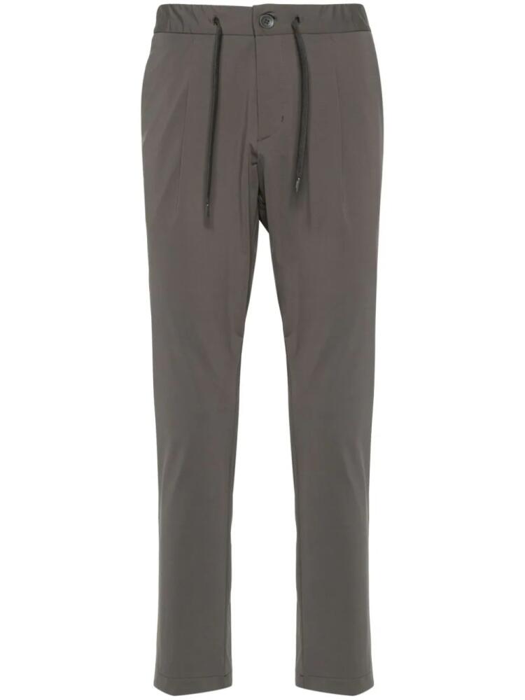 Herno pleated tapered trousers - Grey Cover