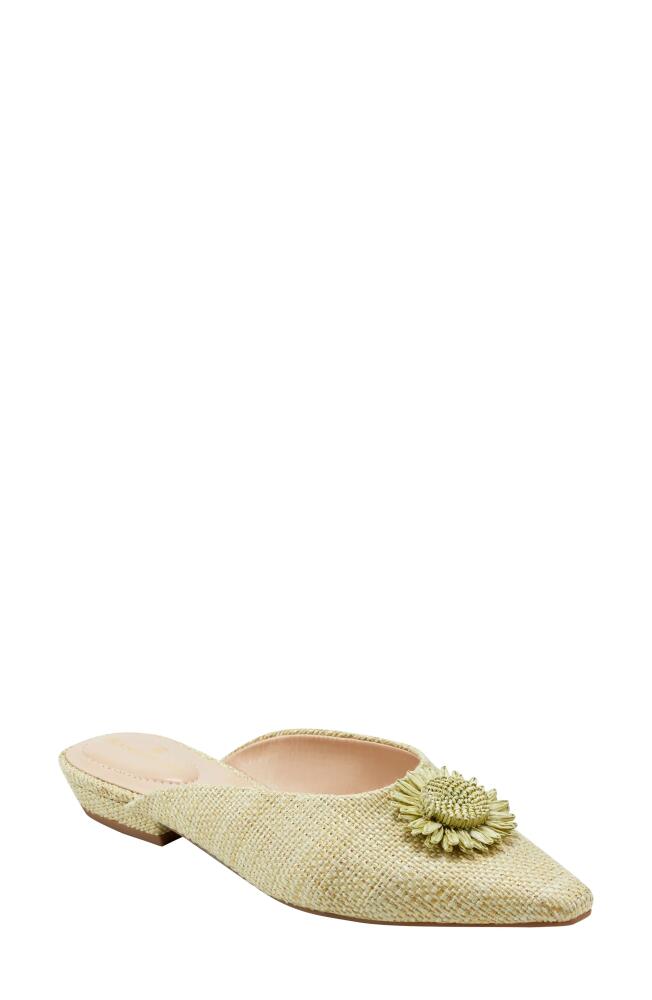 Bandolino Shay Floral Appliqué Mule in Light Green Cover