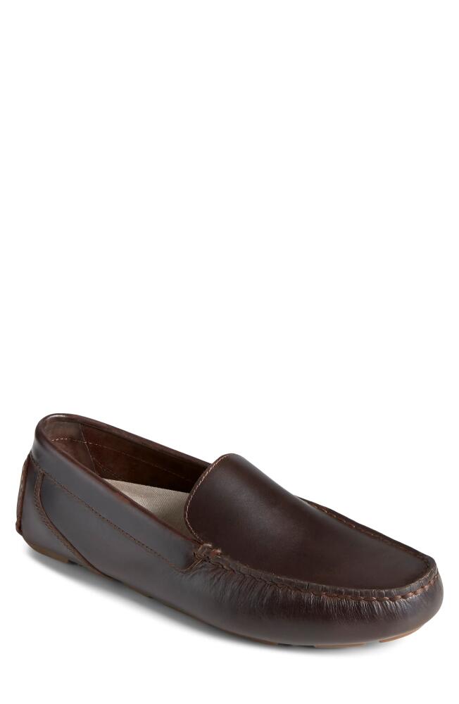 Sperry Davenport Driving Shoe in Amaretto Cover