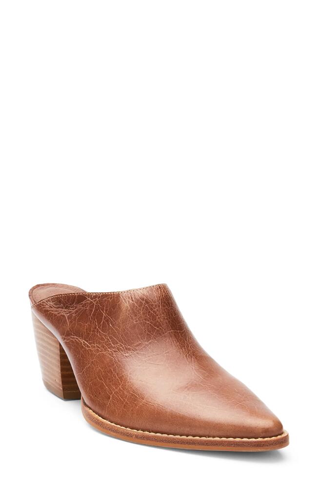 Matisse Cammy Pointy Toe Mule in Vintage Tan Cover