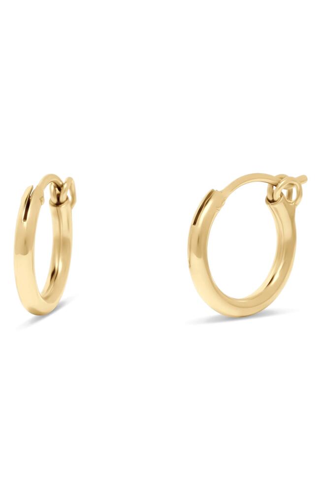 Brook and York Nellie Hoop Earrings in Gold - 13Mm Cover