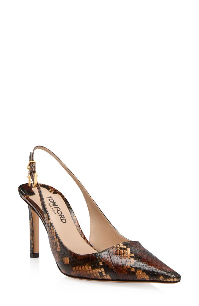 TOM FORD Ayers Pointed Toe Slingback Pump in Dark Whisky Cover