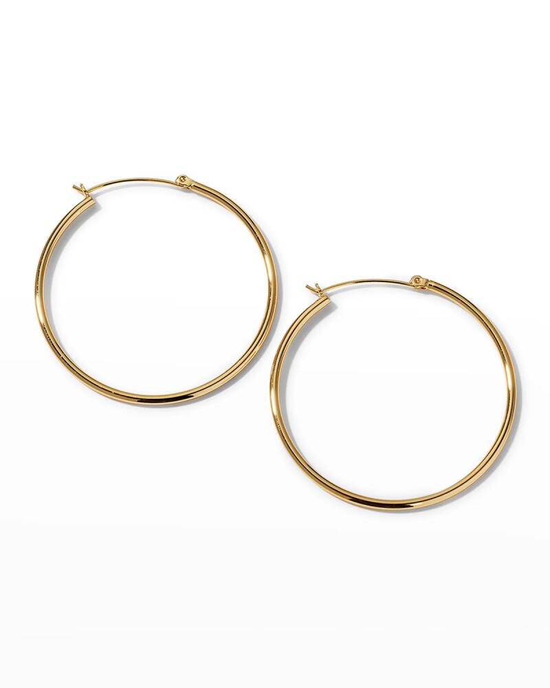 Devon Leigh Gold-Plate Hinge Back Hoop Earrings Cover