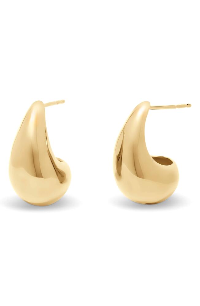 Brook and York Farrah Teardrop Hoop Earrings in Gold Cover