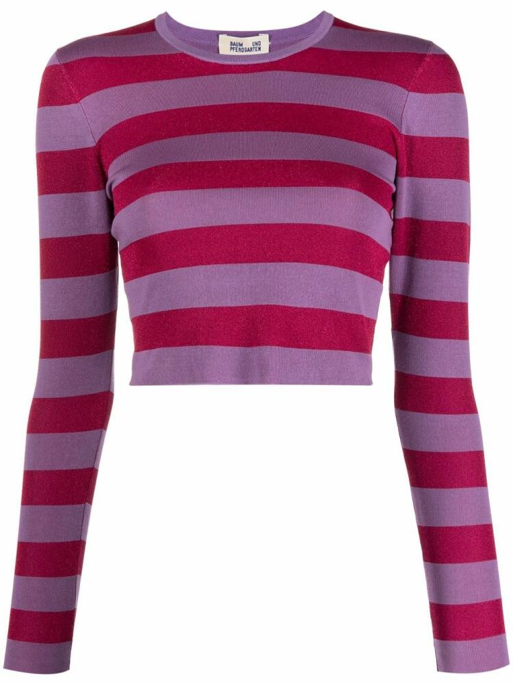 Baum Und Pferdgarten Chaney striped jumper - Purple Cover