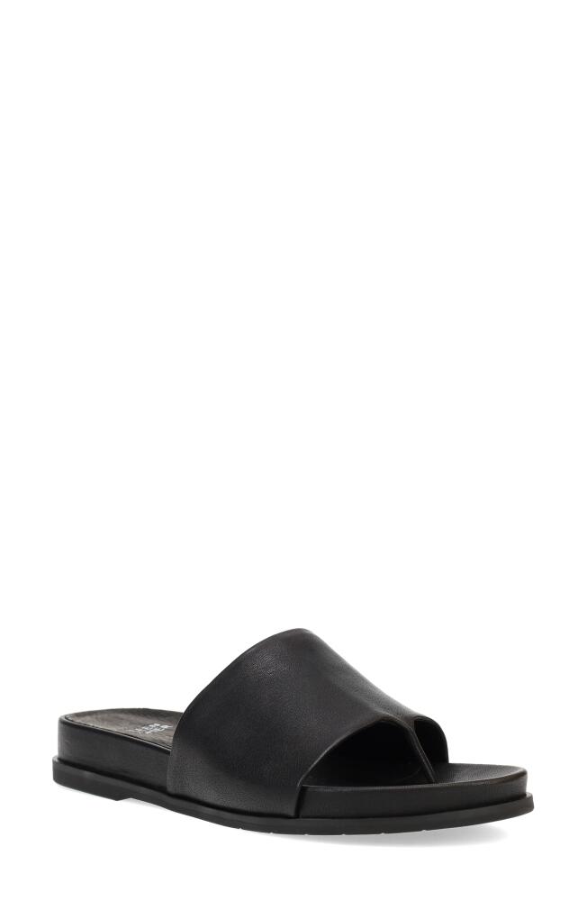 Eileen Fisher Duet Slide Sandal in Black Cover